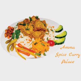 Exotic South African Indian curry